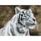 Diamond Dotz® Intermediate Tiger Blanc Diamond Painting Kit
